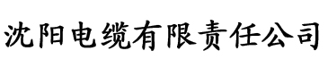 91视频软件苹果手机版下载视频电缆厂logo